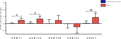 TET Upregulation Leads to 5-Hydroxymethylation Enrichment in Hepatoblastoma